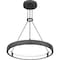 Quoizel Drury Pendant Led Light Petwer Cast Iron PCDRU2824PCI - alternate 6